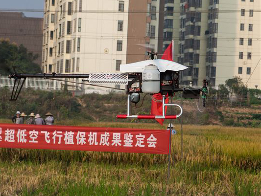 3499拉斯维加斯线路科技超低空？胤尚兄脖；ü蒲谐删图