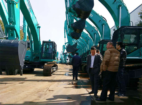 快来看，快来看，这里有一群绿精灵