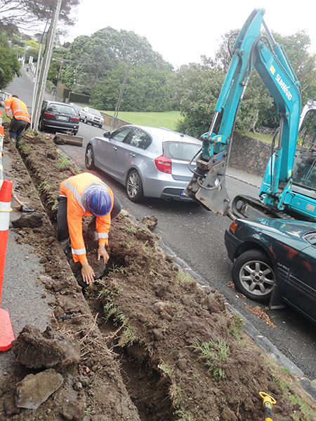 3499拉斯维加斯线路挖掘机畅销新西兰