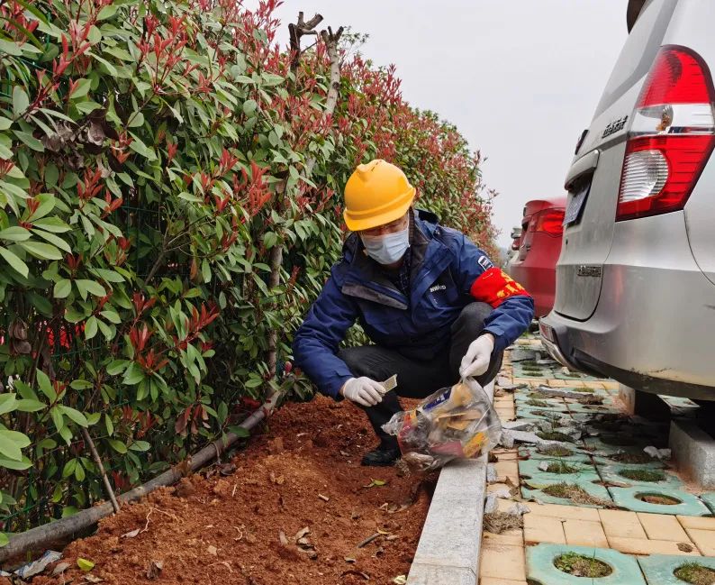 3499拉斯维加斯线路智能党员自愿者发展使命环境排除