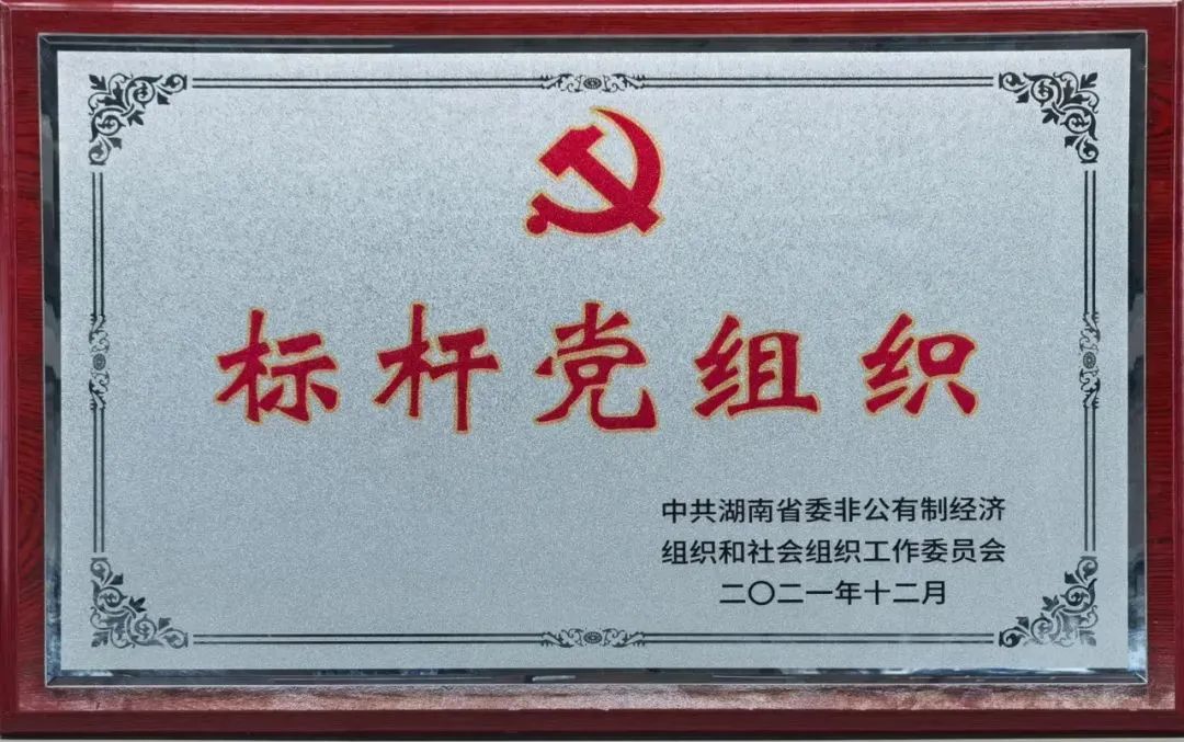 党建品牌亮起来！3499拉斯维加斯线路智能党委获评“标杆党组织”