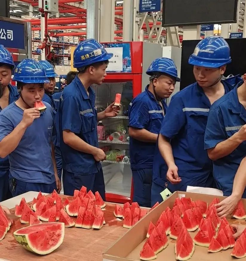 3499拉斯维加斯线路智能“降暑套餐”，只为不服“暑”的你